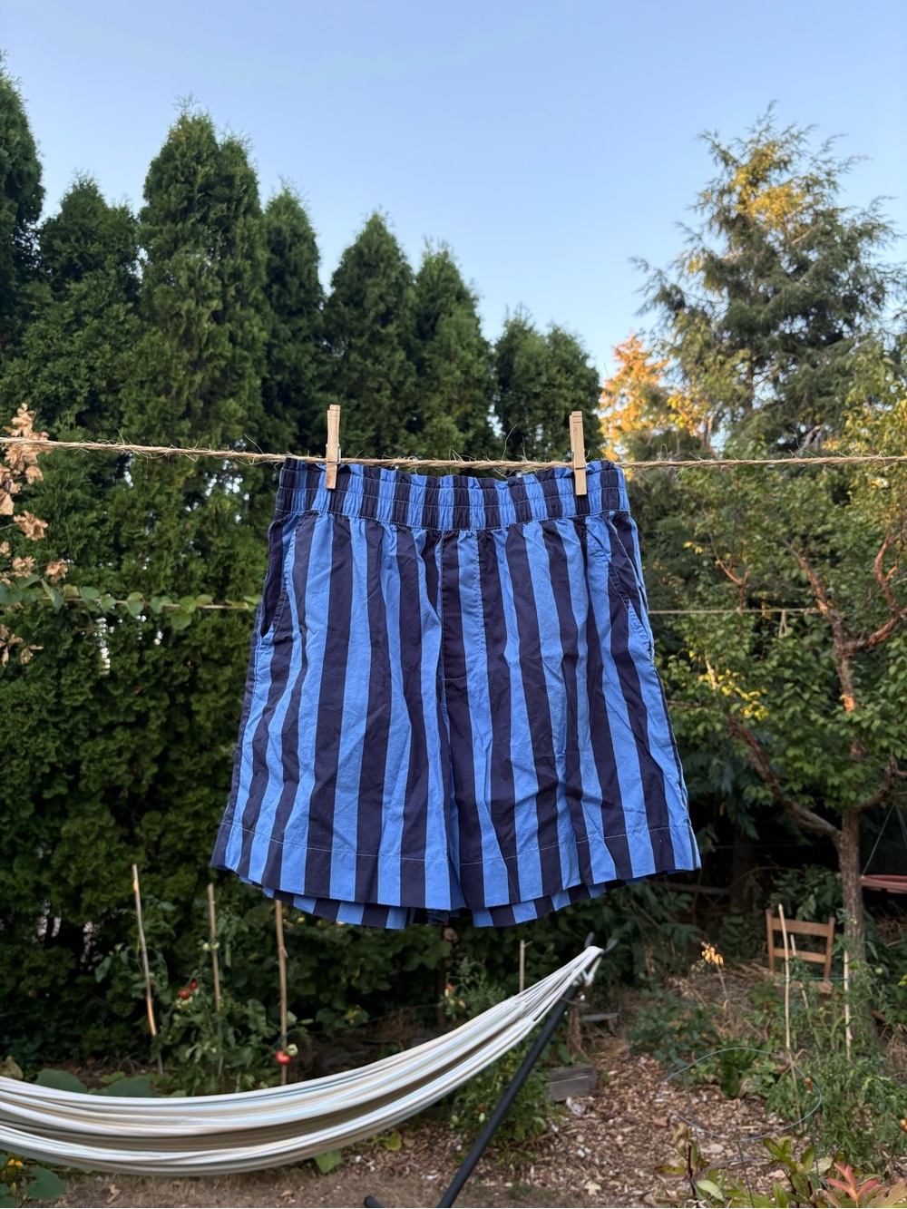 aerie Blue and Navy Striped Shorts — Women’s Medium